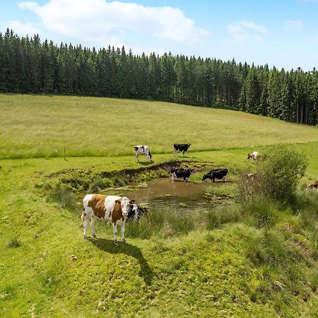 Ferienwohnung Duffner Schonach im Schwarzwald Exterior foto
