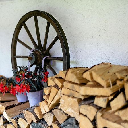 Ferienwohnung Duffner Schonach im Schwarzwald Exterior foto