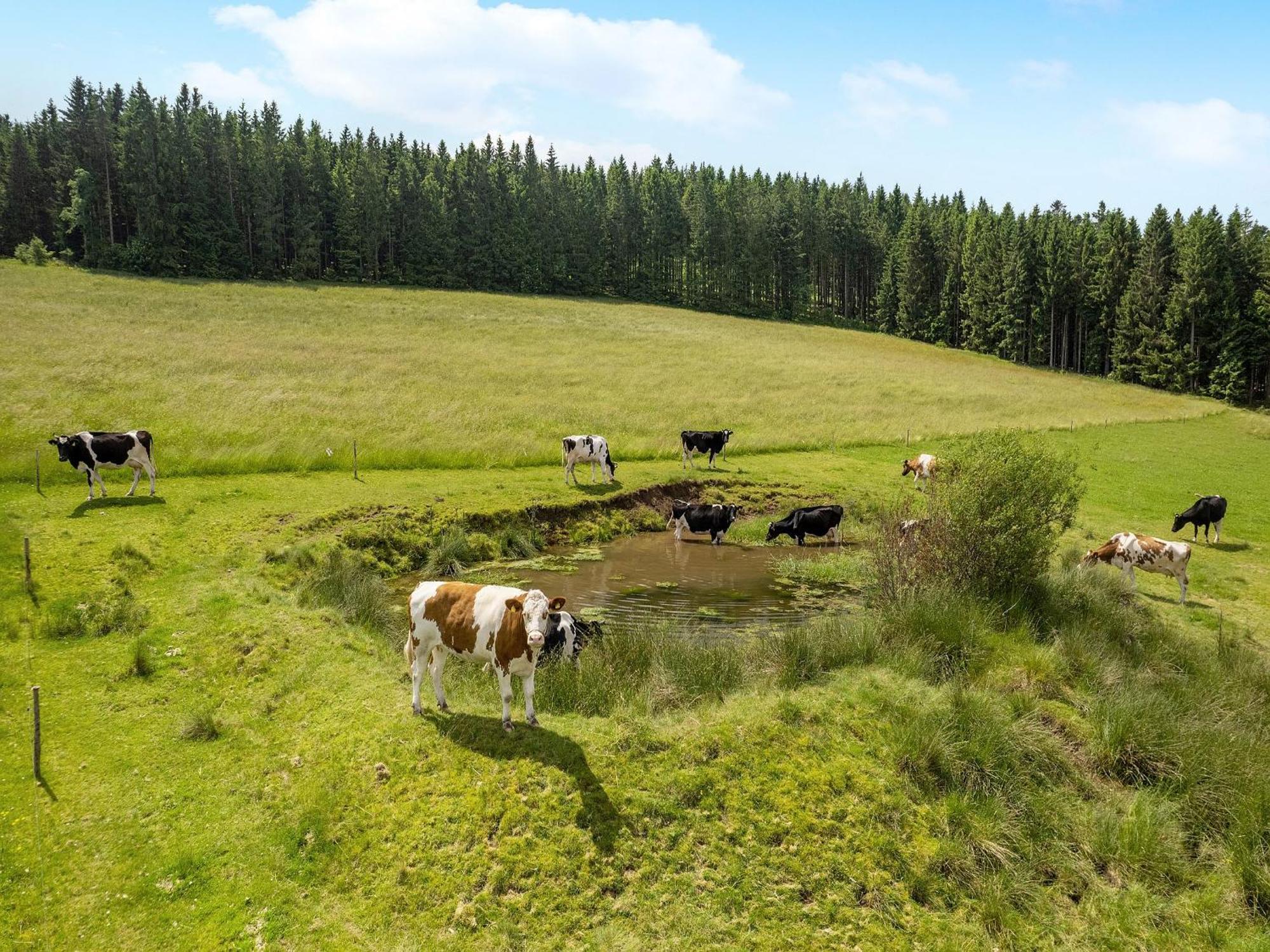 Ferienwohnung Duffner Schonach im Schwarzwald Exterior foto