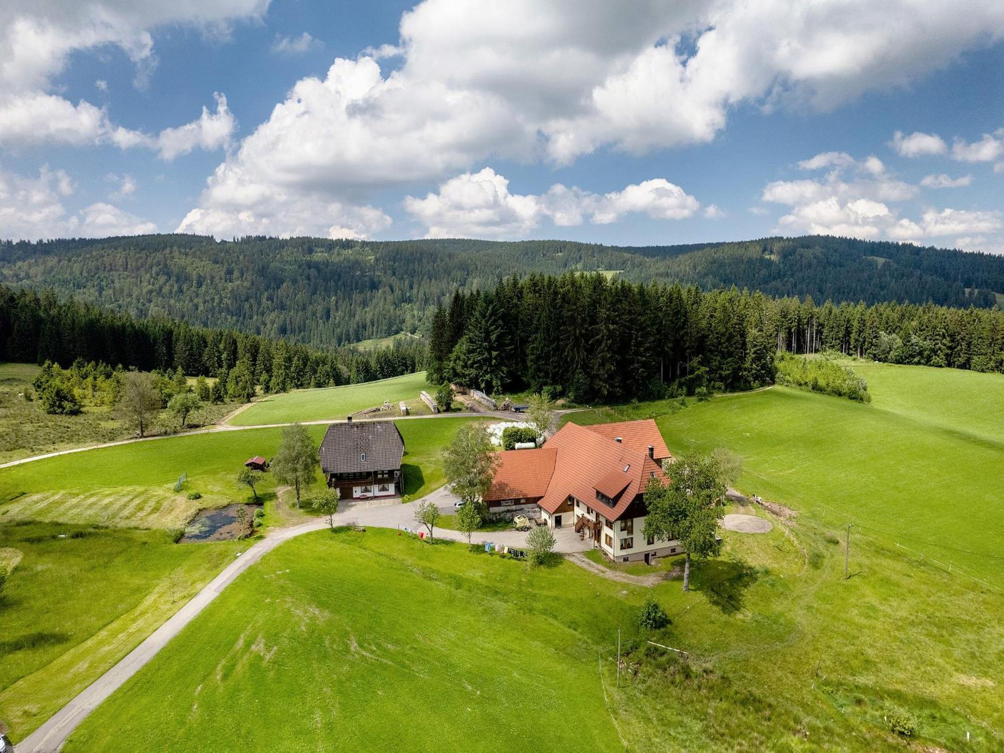 Ferienwohnung Duffner Schonach im Schwarzwald Exterior foto