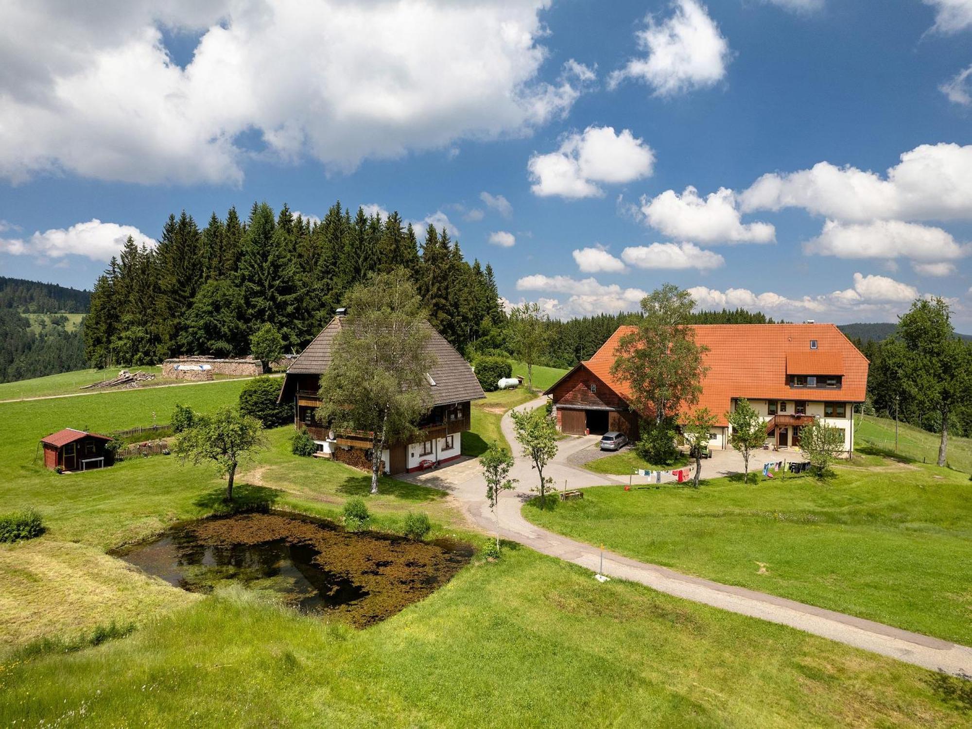 Ferienwohnung Duffner Schonach im Schwarzwald Exterior foto