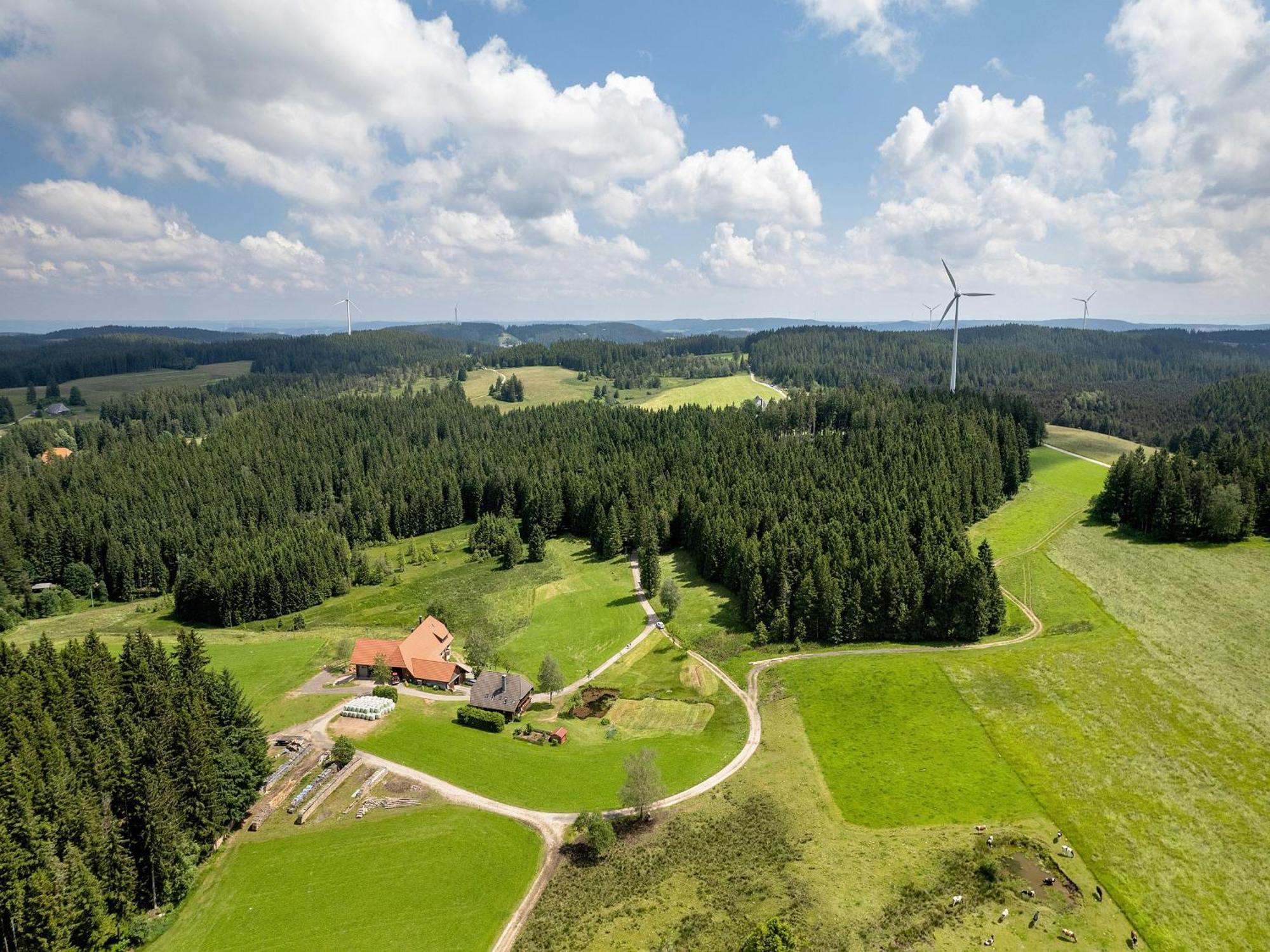 Ferienwohnung Duffner Schonach im Schwarzwald Exterior foto