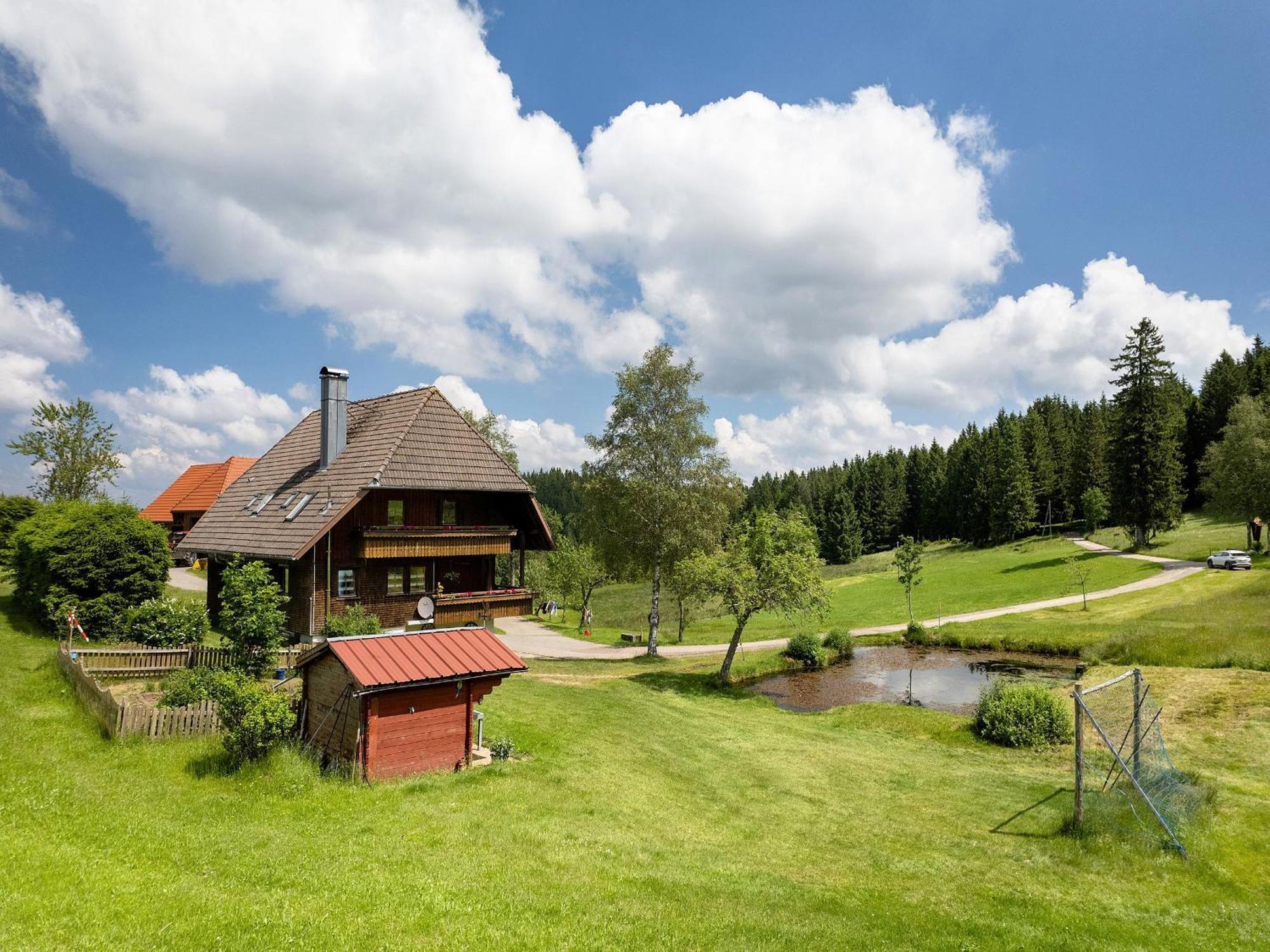 Ferienwohnung Duffner Schonach im Schwarzwald Exterior foto